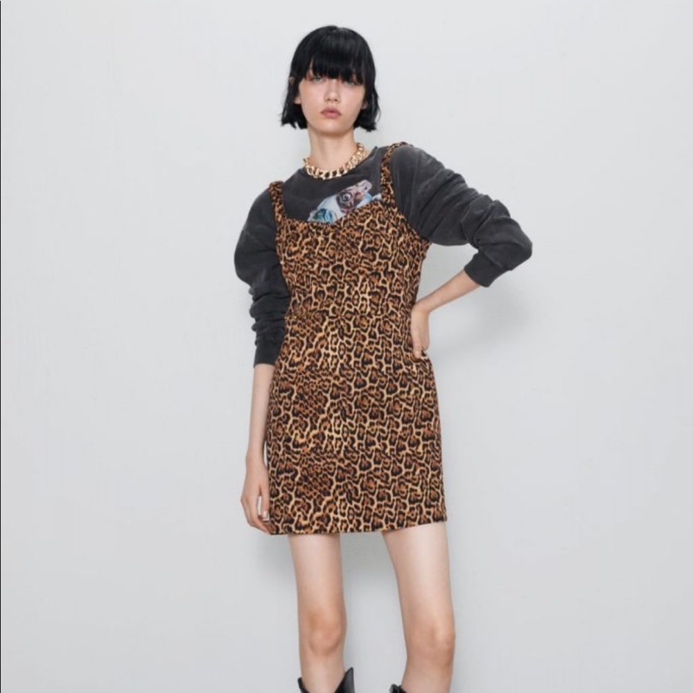 Zara Leopard Dress